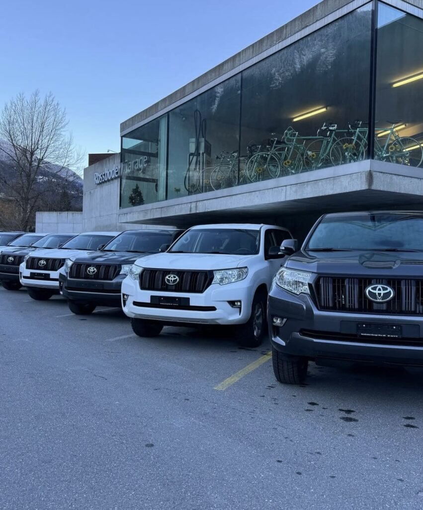 Advisory Board Announcement: Welcome Leda Braga